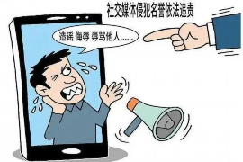 龙凤融资清欠服务