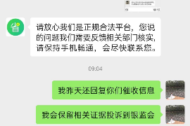 龙凤融资清欠服务